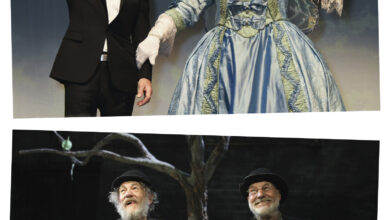 Patrick Stewart and Ian McKellen: A friendship that surpassed the stage and screen