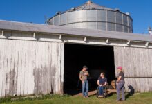 Democrats, Hopeful All Over the Senate Map, Remain Jittery About Iowa
