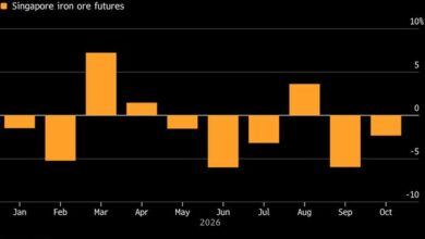 Iron Ore Heads for Lowest Month-End Close Since October 2022