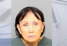 OC woman faces federal charges in Santa Ana puppy killing