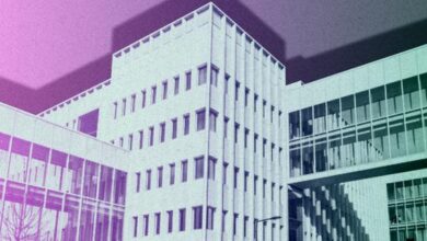 « En Serbie, les étudiants ont conquis le gouvernement, pas encore le pouvoir »