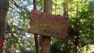 Is Bigfoot hiding out in New Jersey? These Sasquatch hunters have a hunch
