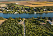 Fierce debate as California changes course in central water hub